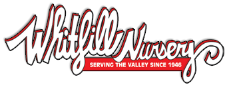 Whitfill Nursery